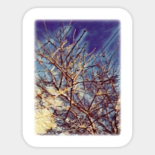 Colorful rustic almond tree Sticker